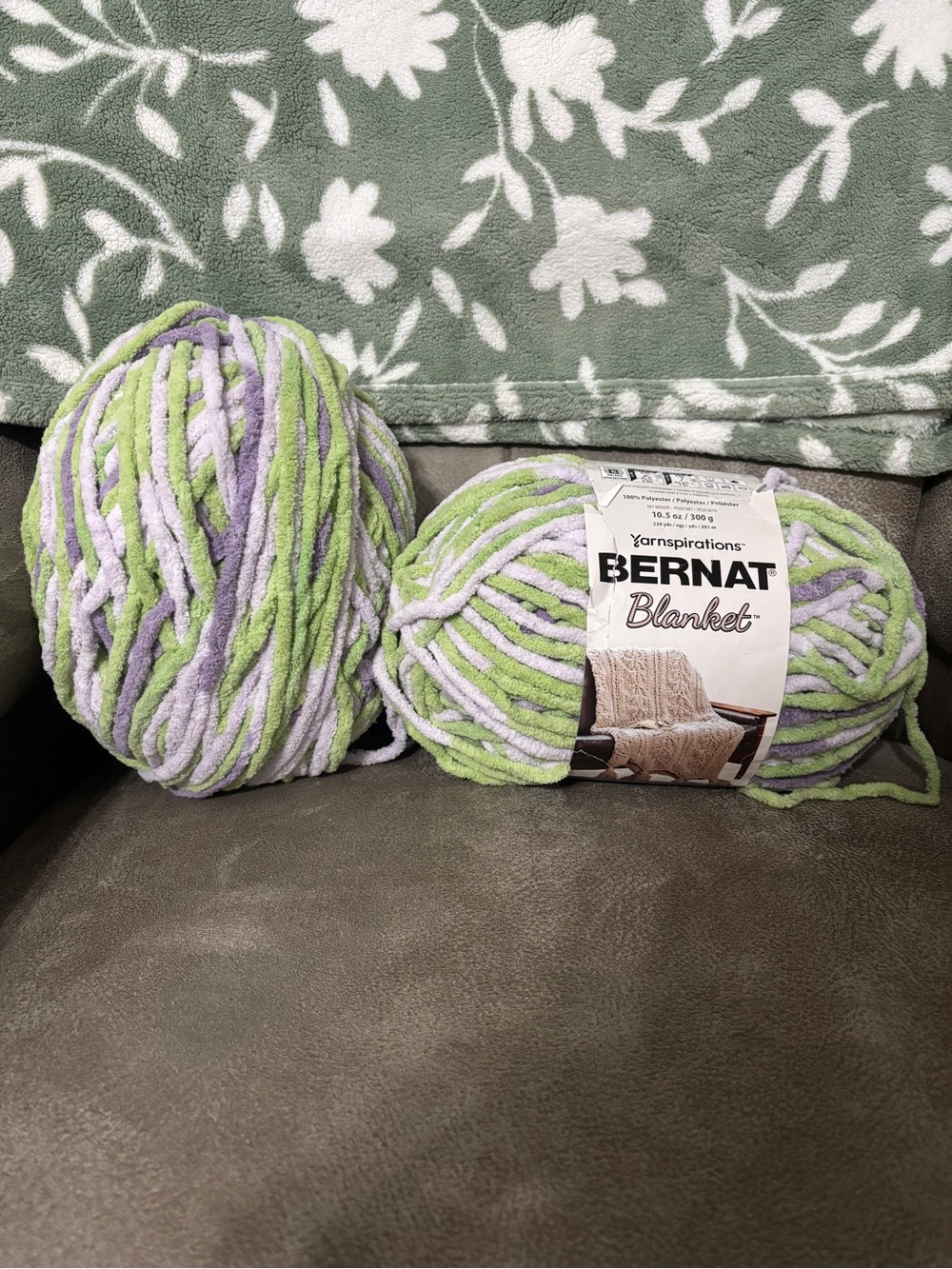 Bernat Blanket Yarn Ball - Green and Lavender Plush 2 rolls